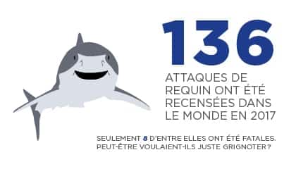 Donnée 1
