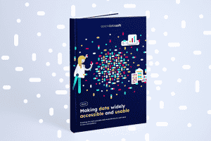 Ebook: making data widely accessible and usable