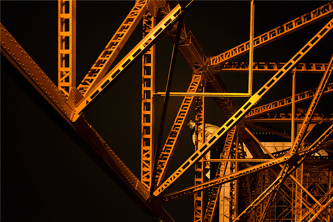 How do you structure your data team for success?