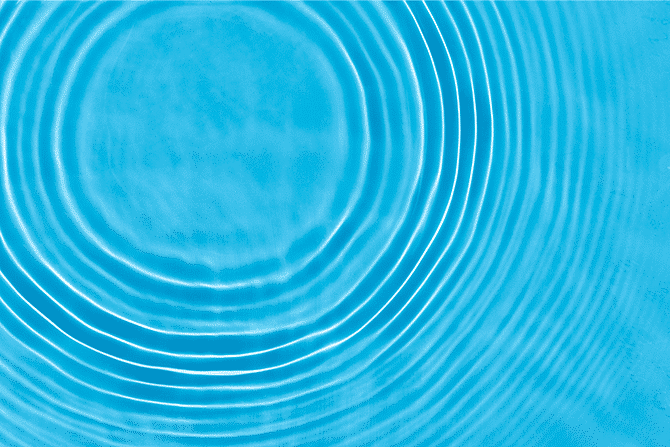 How local government can build trust through transparent data sharing