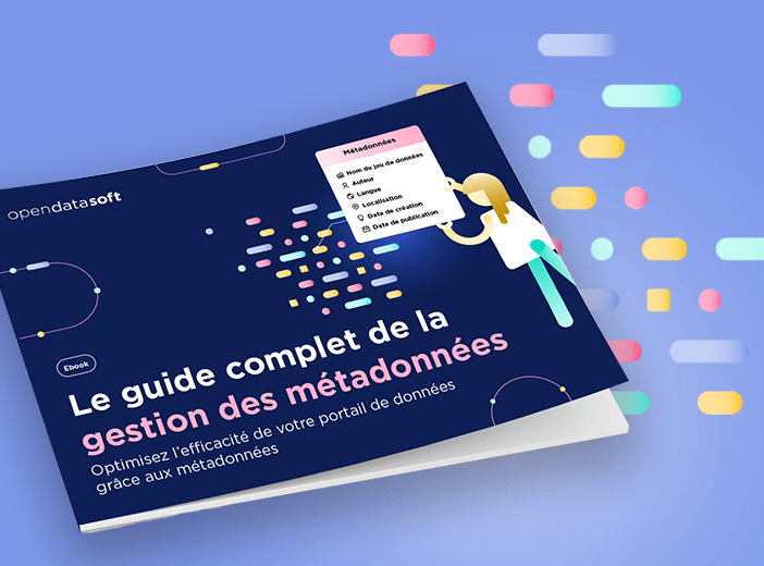 Le guide complet de la gestion des métadonnées
