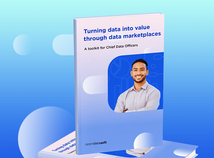 CDO toolkit: Turning data into value through data marketplaces