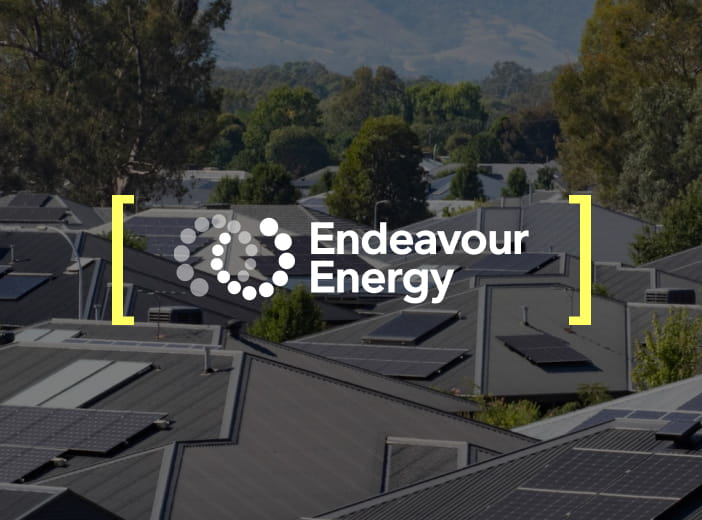 Endeavour Energy supports regional growth with pioneering open data marketplace
