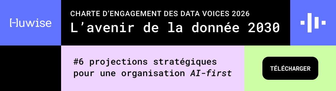 Data Voices Manifesto